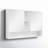 Maisie 46 " W X 30 " H Surface Framed Medicine Cabinet with Mirror-391859498