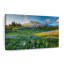 «Springtime At Mount Rainier», reproduction sur toile-1880741218