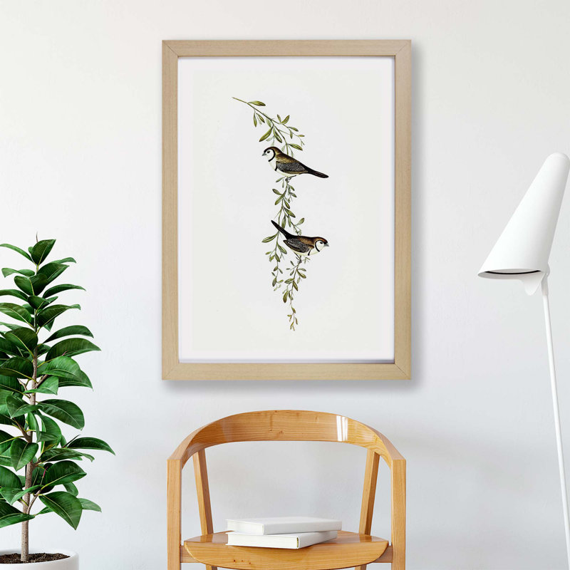 Black-Rumped Finch Birds - Framed Print, 33cm H x 45cm W x 2cm D, Oak