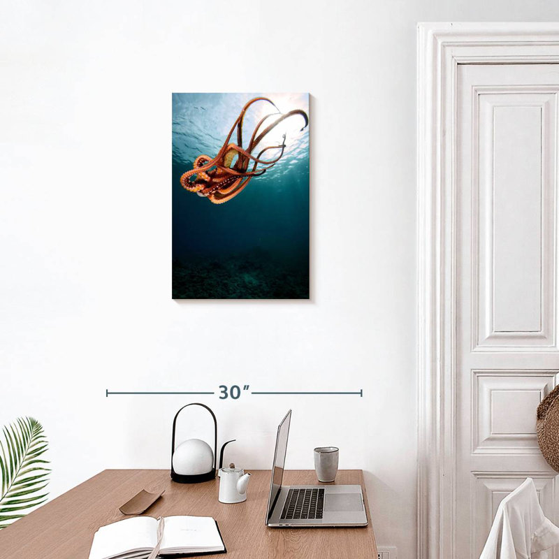 Brampt Diving Octopus, 24" H x 16" W