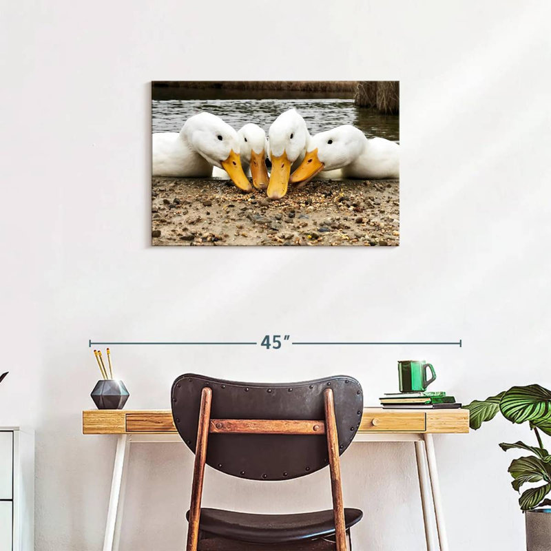 Pekin Ducks de Brampt, H 20 po x l 30 po