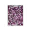 Asha Framed Canvas-219175604