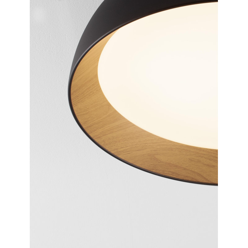 Flush Mount, 50