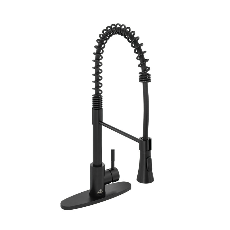 Spring Standard Kitchen Faucet with Dual-Function Spray Head and Deck Plate, Matte Black