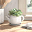 Freeda Handmade Statue Planter