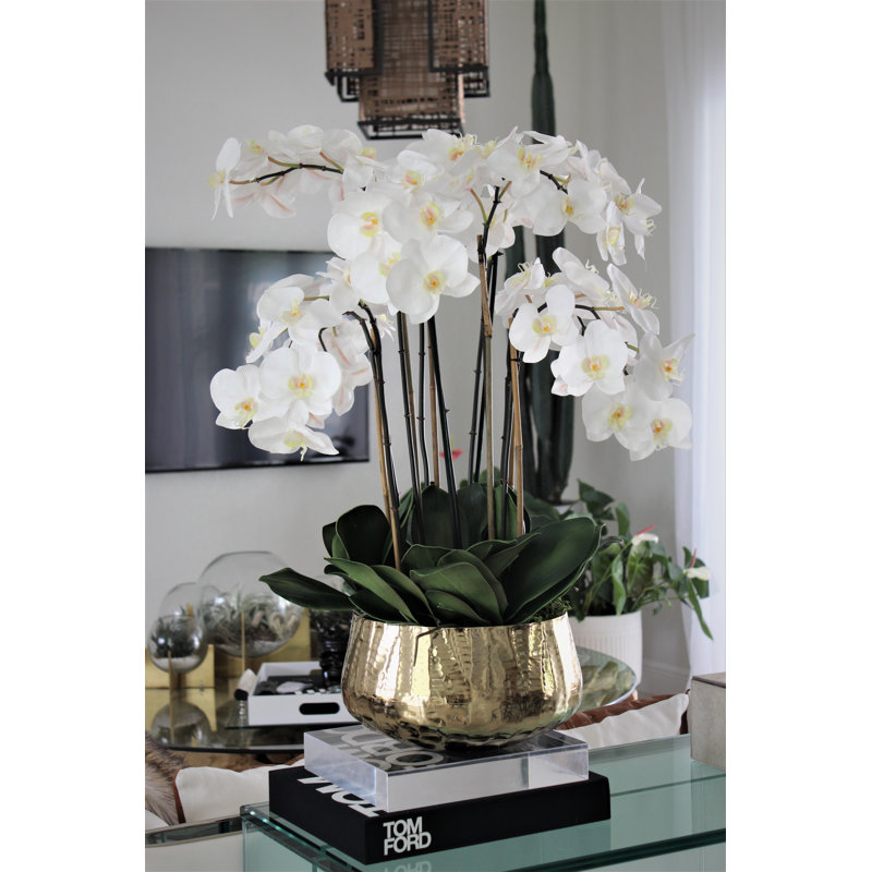 Roberi bowl with multiple stems of white Phalaenopsis orchids, 28" H x 18" W x 18" D, White