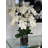 Orchid Arrangement in Vase-68766514