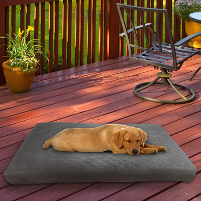Lit pour chien