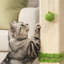 Grattoir pour chat 32 po avec jouet à billes suspendu, poteau à griffes en sisal pour grands chats et chatons-1844043261