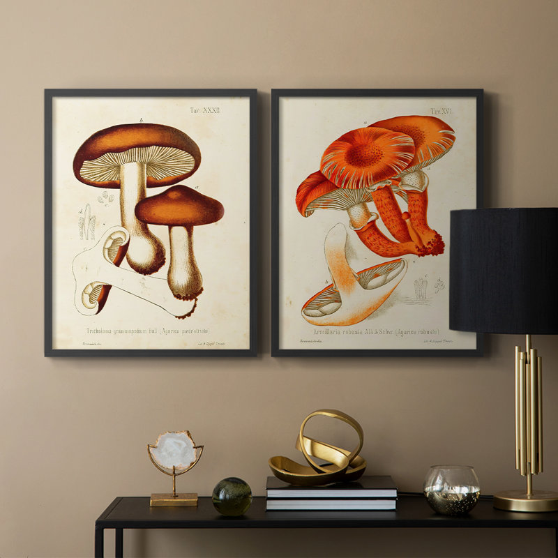 «Mushroom Variétés VI», reproduction encadrée de qualité supérieure - prête à être accrochée - aucun clou requis - aucun clou requis