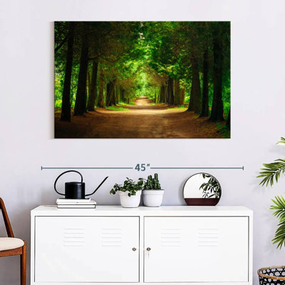 Sireci Park Tunnel Trees