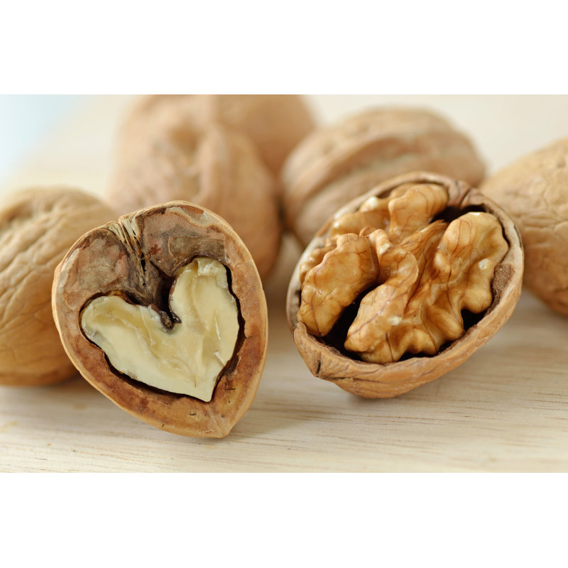 Walnuts - Wrapped Canvas Print, 20cm H x 30cm W x 3.8cm D
