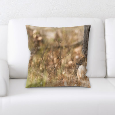 Coussin de fox