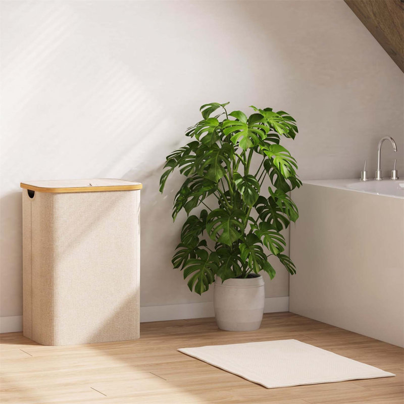 Bhargava Laundry Hamper with Handles, Beige