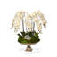Orchid and Celestite Floral Arrangement in Urn