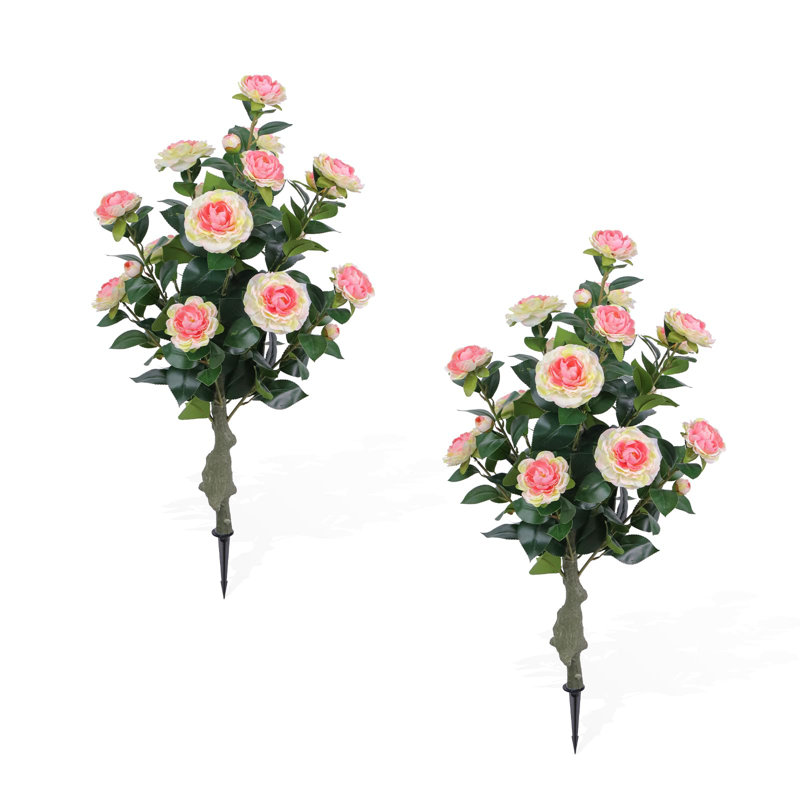 Arrangement