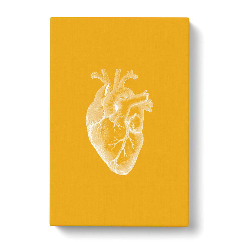Orange Anatomical Heart - Wrapped Canvas Print, 76cm H x 50cm W x 3cm D