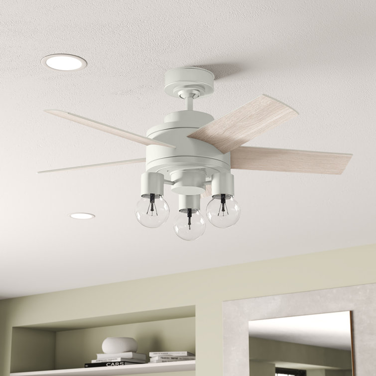 44" Hardwick 5 - Blade Standard Ceiling Fan with Remote Control and Light Kit Included