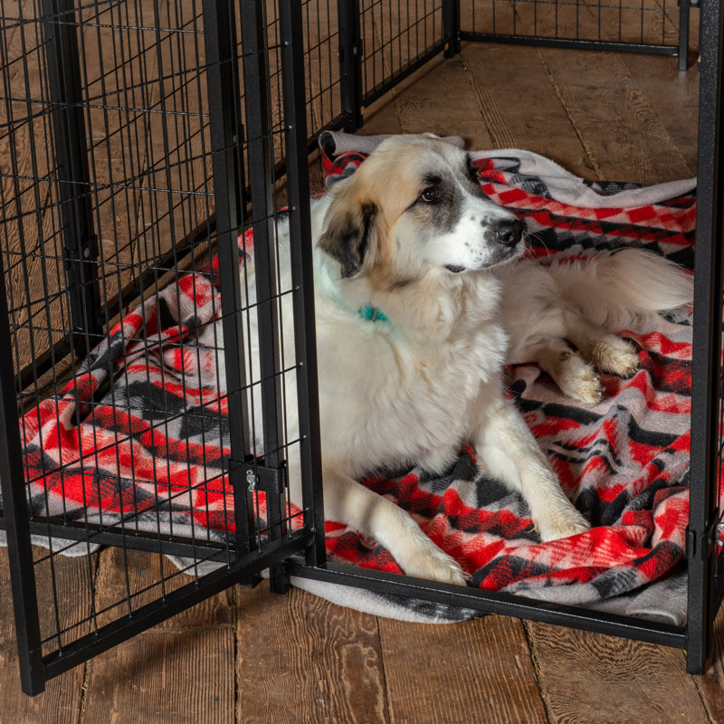 Chenil Uptown Lucky Dog, Grand (H 72 pox l 48 po x P 96 po)