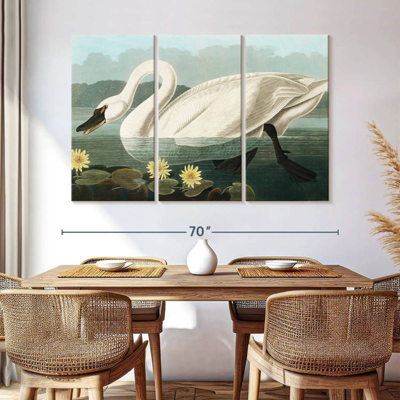 Cygne d'Amérique commun Brampt, H 42 po x l 65 po