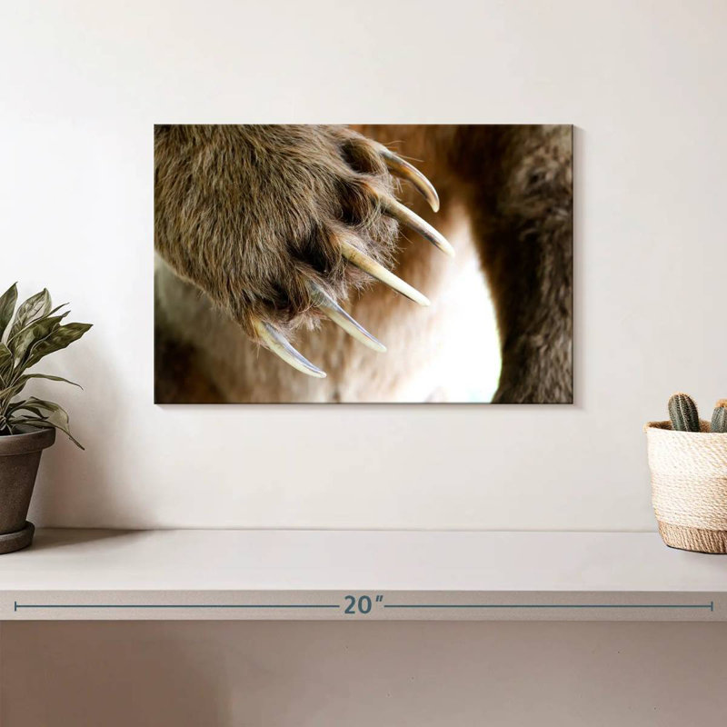 Brampt Bear Claws, 8'' H x 12'' W