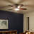 56'' Ceiling Fan with LED Lights-1440502493