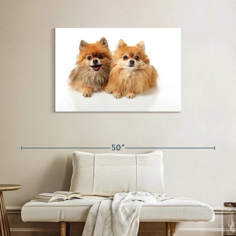 Crowle Posing Pomeranians, 26" H x 39" W