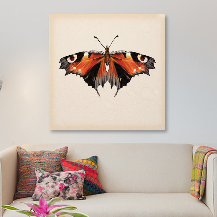 " Butterfly Study V " Graphic Art, 37" H x 37" W x 1.5" D, Wrapped Canvas, No Mat