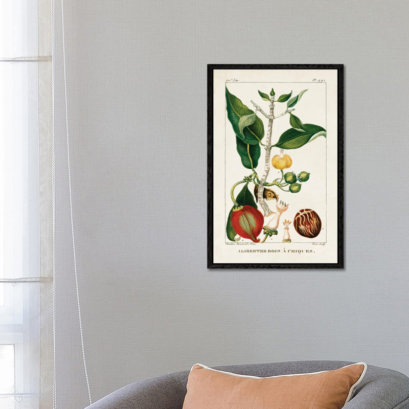 Turpin Foliage & Fruit III by Turpin - Gallery-Wrapped Canvas Giclée on Canvas, 66.04 cm H x 45.72 cm W, Black Floater Framed