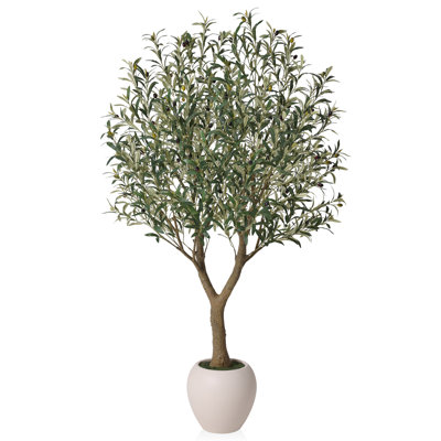 Adcock 6 ft Tall Artificial Olive Tree Faux Plant - Full 3D Leaves & Thick Trunk - Weighted Elegant White Planter Floor Tree for Modern Home Office Living Room Decor