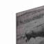 "Buffalo I BW" par Debra Van Swearingen-1689363122