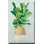 Palmier tissé II - Peinture-917119972-917119994
