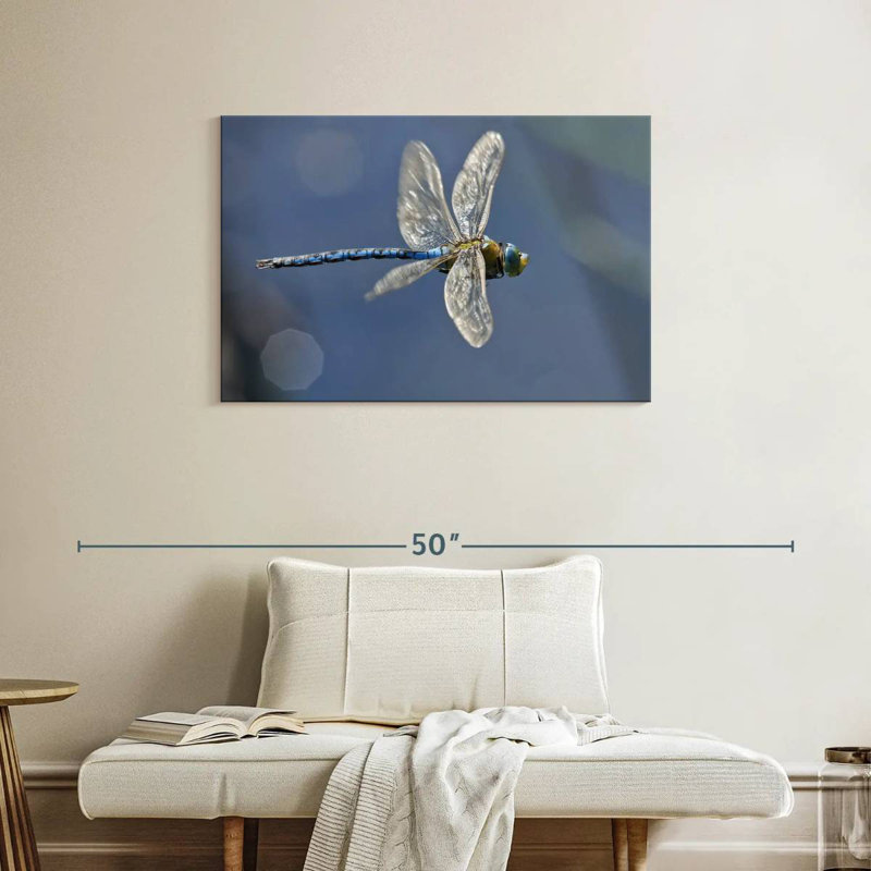 Brampt Flying Emperor Dragonfly, 24" H x 36" W