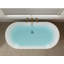 Baignoire autoportante en acrylique avec drain en nickel brossé-103255343-103255342