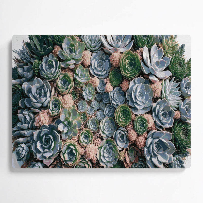 Art mural en métal Botanical Succulents, H 11 po x l 14 po