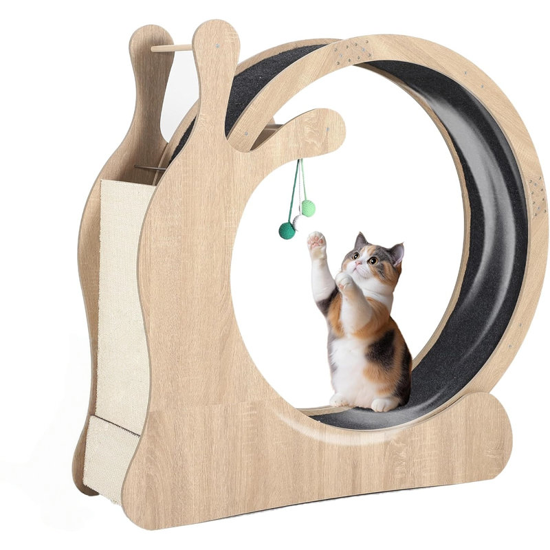 Grand tapis roulant pour chat 3 en 1 avec planche à gratter et balles de jeu, roue pour chats, Beige