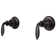 Avalon Double Handle Tub and Shower with Metal Lever Handles Trim
