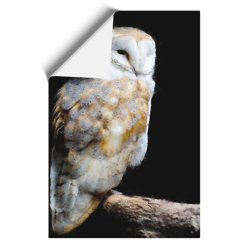 Barn Owl Painting - Frameless Print, 42cm H x 30cm W x 0.1cm D