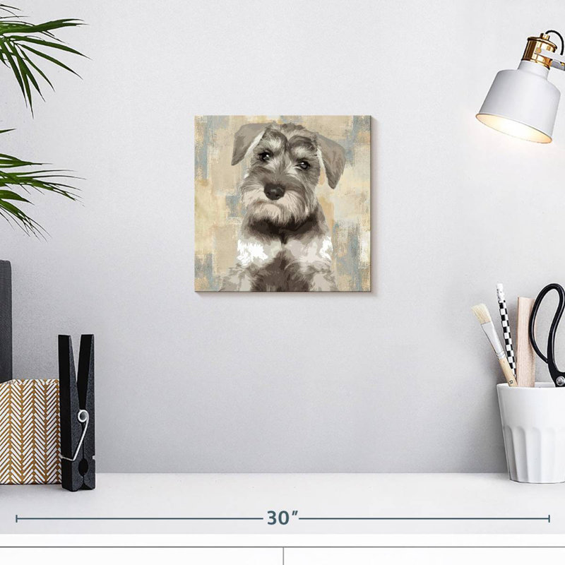 Crowle Miniature Schnauzer, 10" H x 10" W