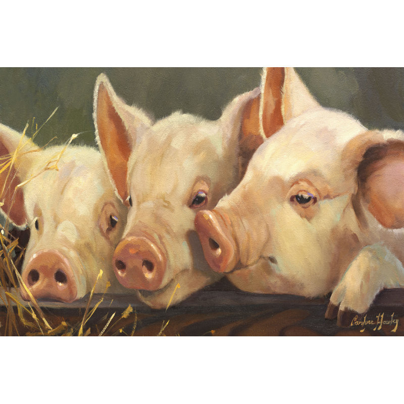 Cochon paradis, H 8 po x l 12 po
