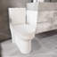 Toilette à double chasse