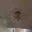 Photos des clients 2 de 2