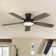 Karlena 52'' Ceiling Fan With Led Lights And Remote Control