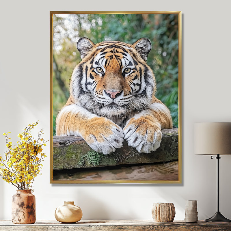 Tiger Portrait - Tiger Wall Décor, Floater Framed Print, 20" H x 12" W, Gold