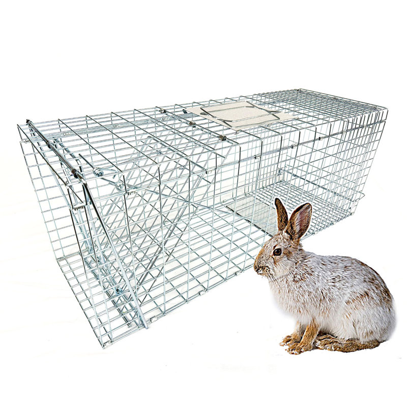 Cage à animal 32 "avec couvercle Fox Trap