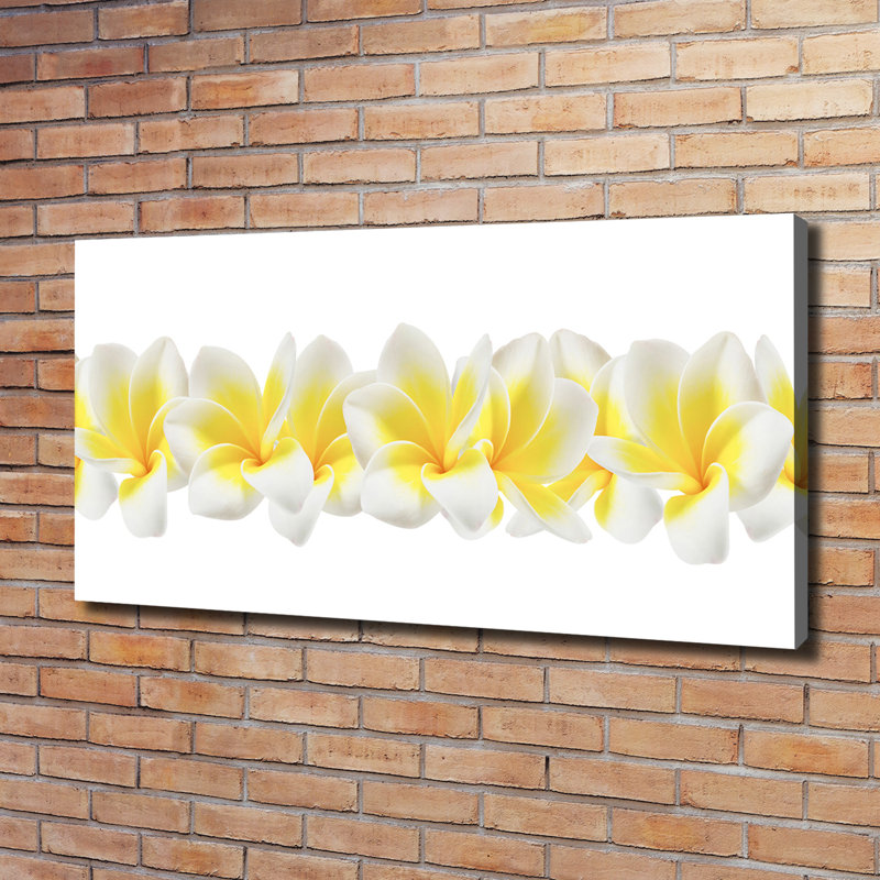 Plumeria - Wrapped Canvas Print