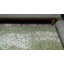 Tapis vert de style oriental-663662593