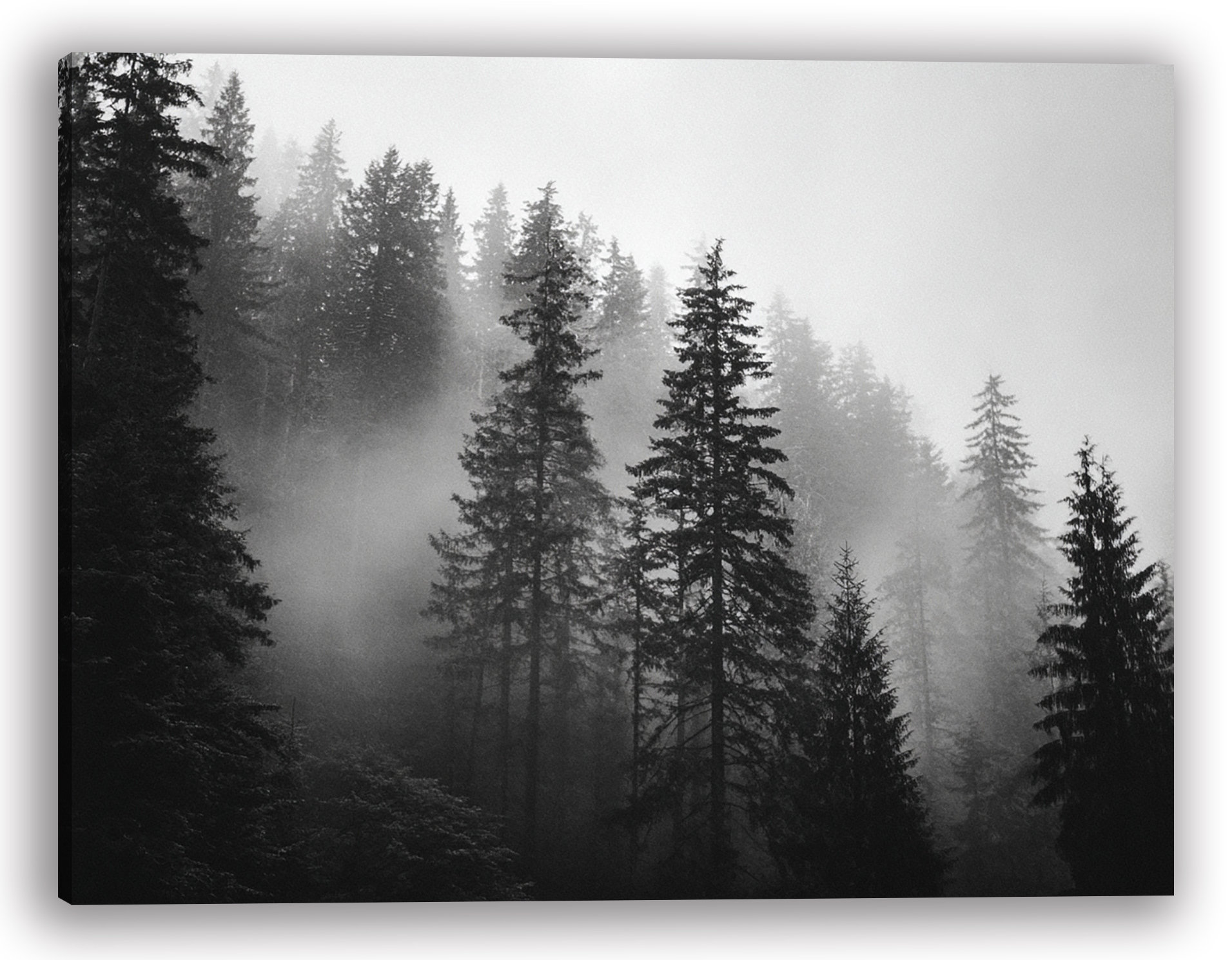 Union Rustic Misty Hillside Pines Wrapped Canvas Wall Art | Wayfair