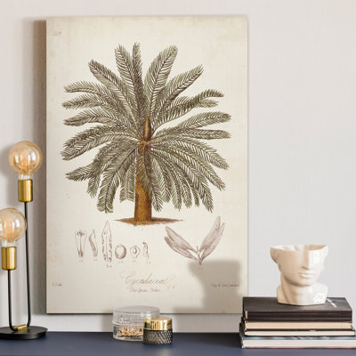 « Antique tropical Palm I », reproduction d’art sur toile tendue