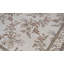 Floral Area Rug in Ivory
